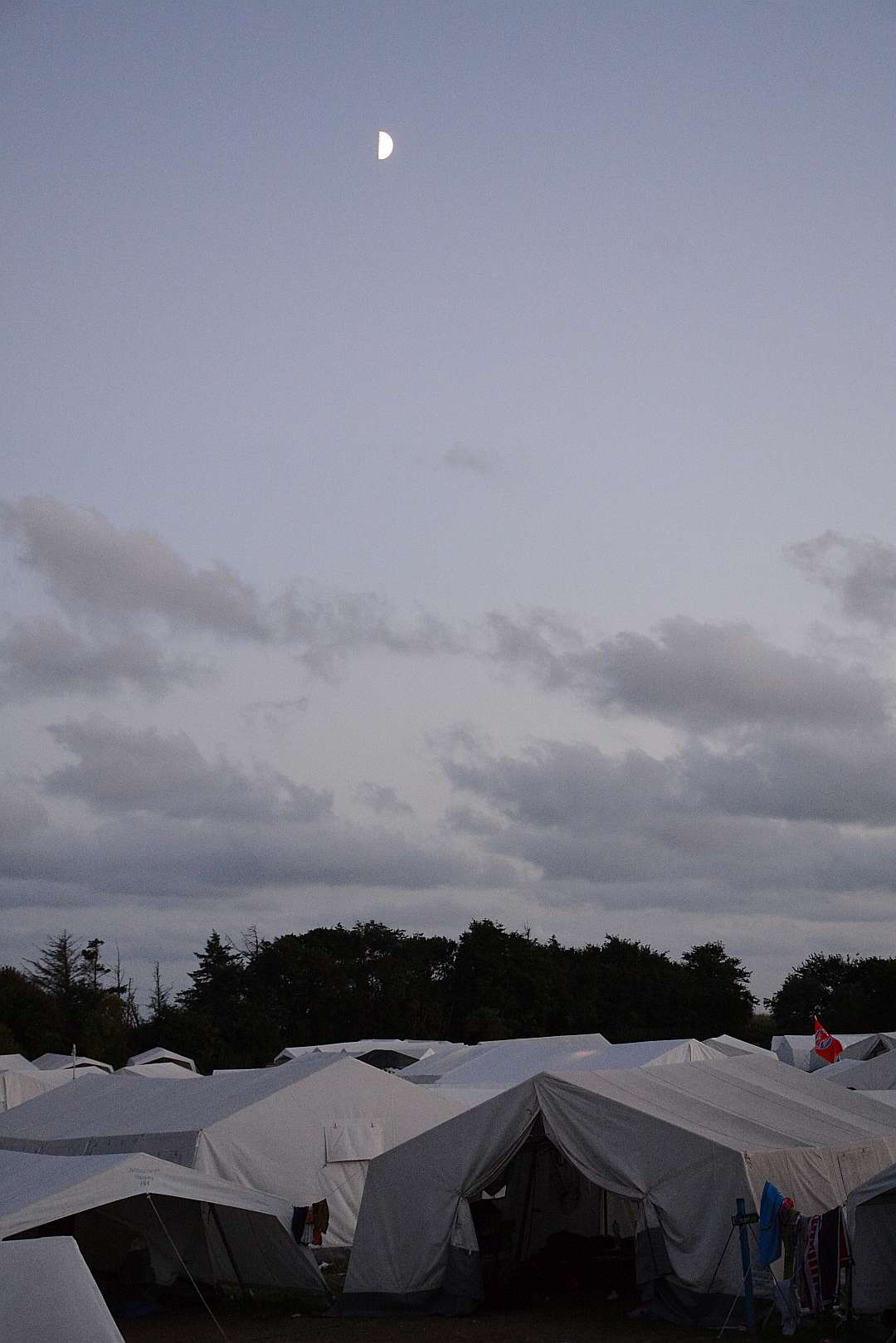 DSC_7544