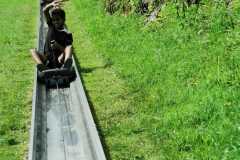 IMG-20210806-WA0088