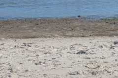 WhatsApp-Bild-2024-08-12-um-17.16.42_62ace55f