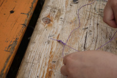 DSC7250